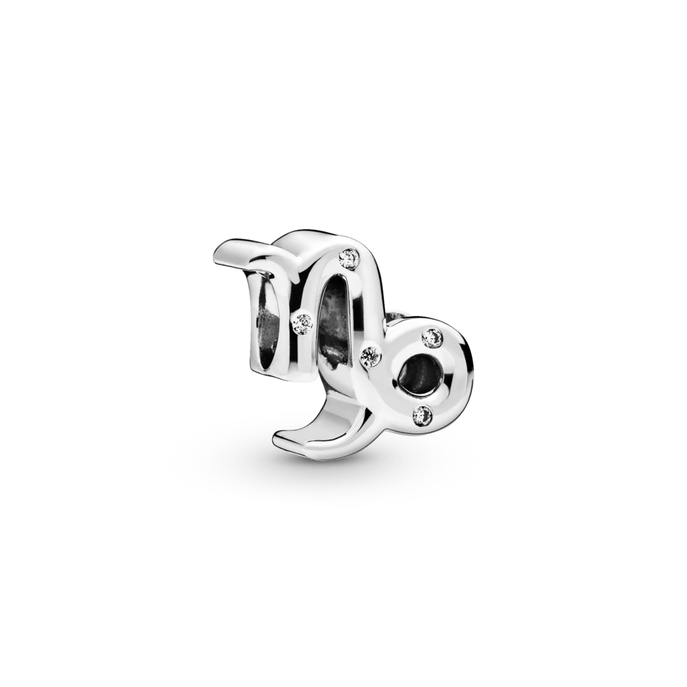 Sparkling zodiac sign amulet Capricorn