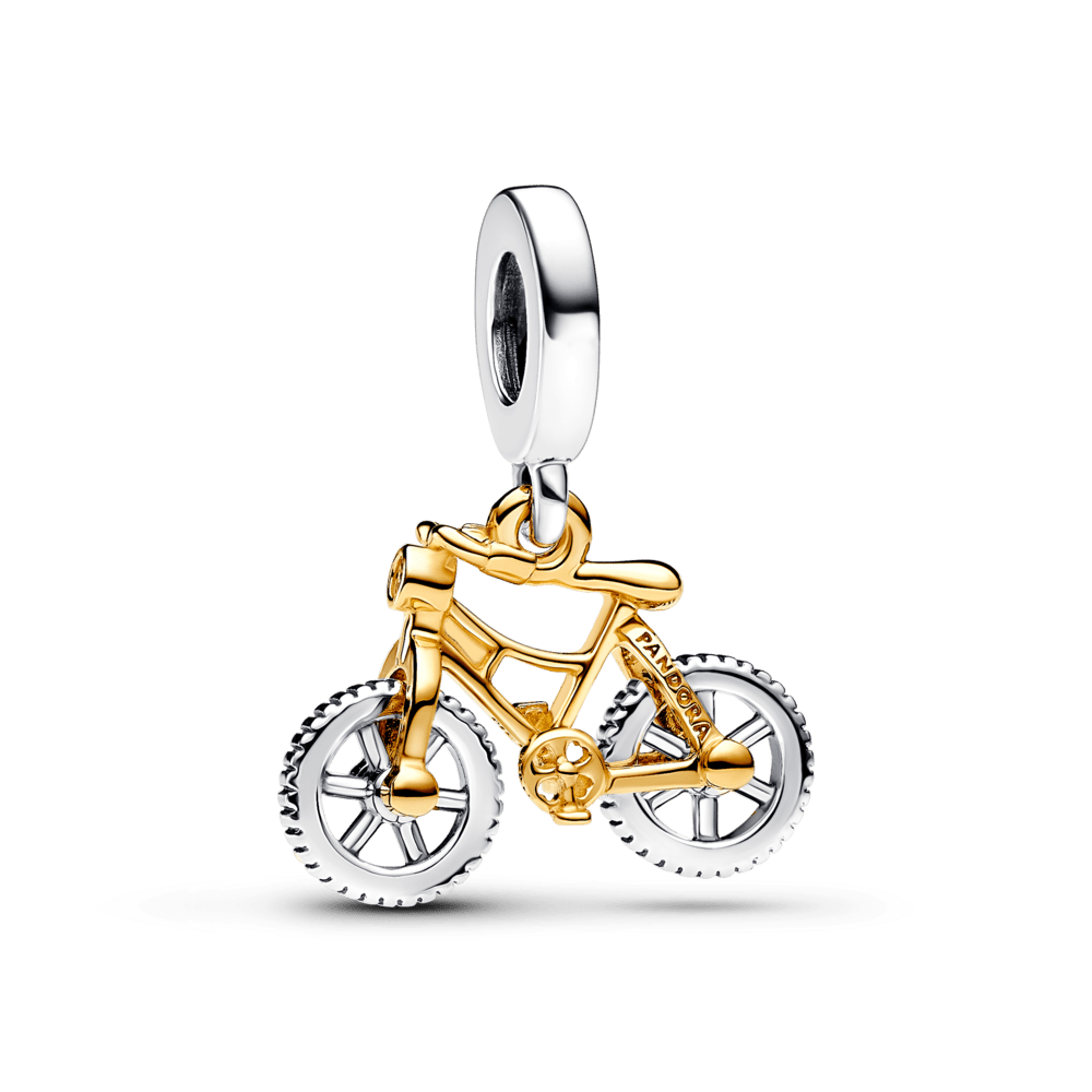 Remorque à vélo avec roues pivotantes bicolores
